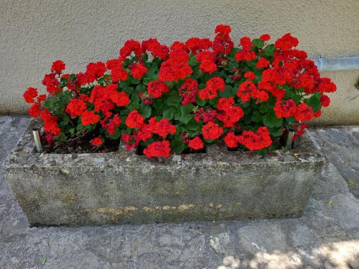 Apartmani Gracijela カルロバッグ エクステリア 写真